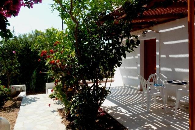 Sophi'S L Studios & Apartments Agia Anna  Exterior photo
