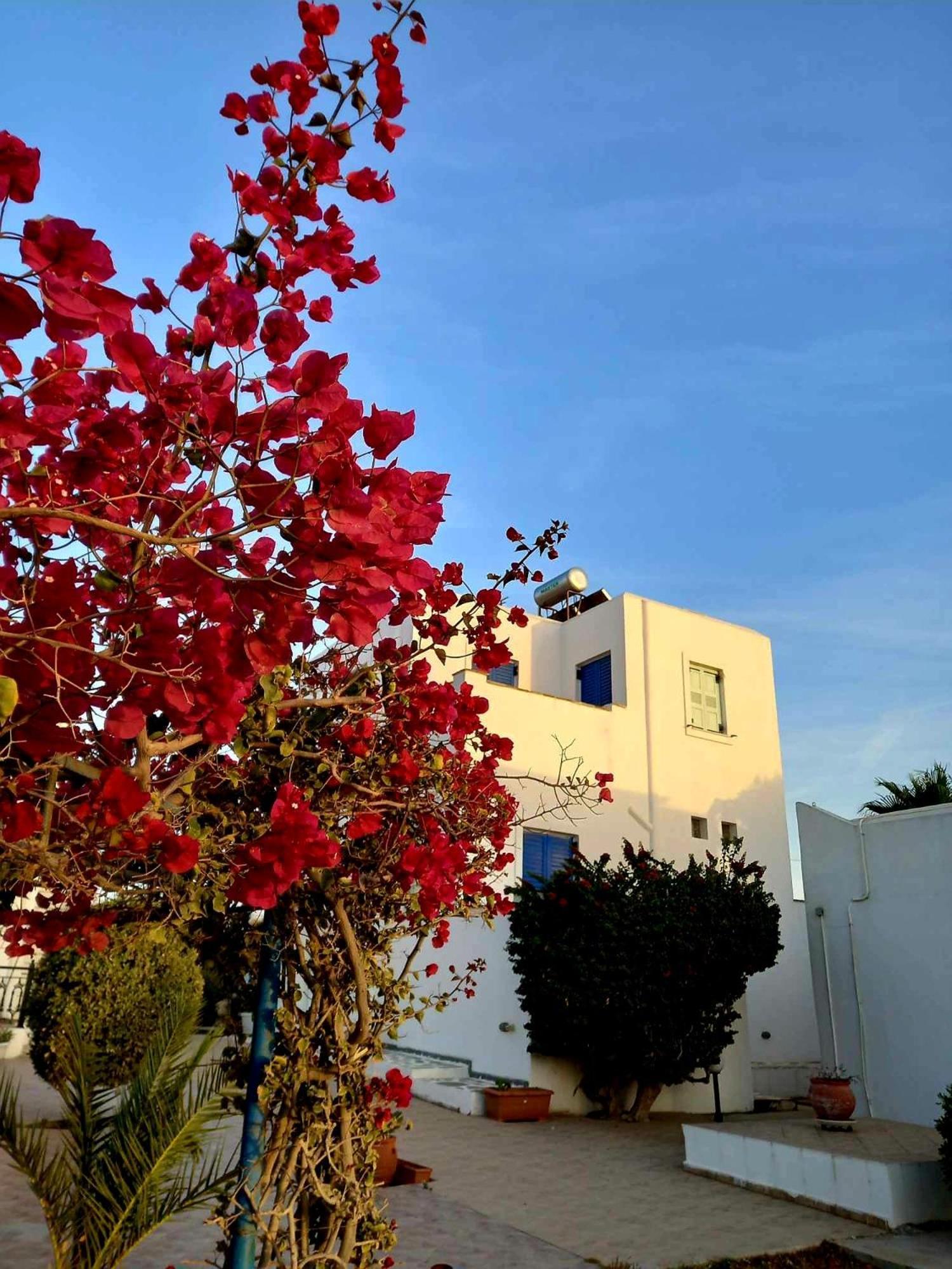 Sophi'S L Studios & Apartments Agia Anna  Exterior photo