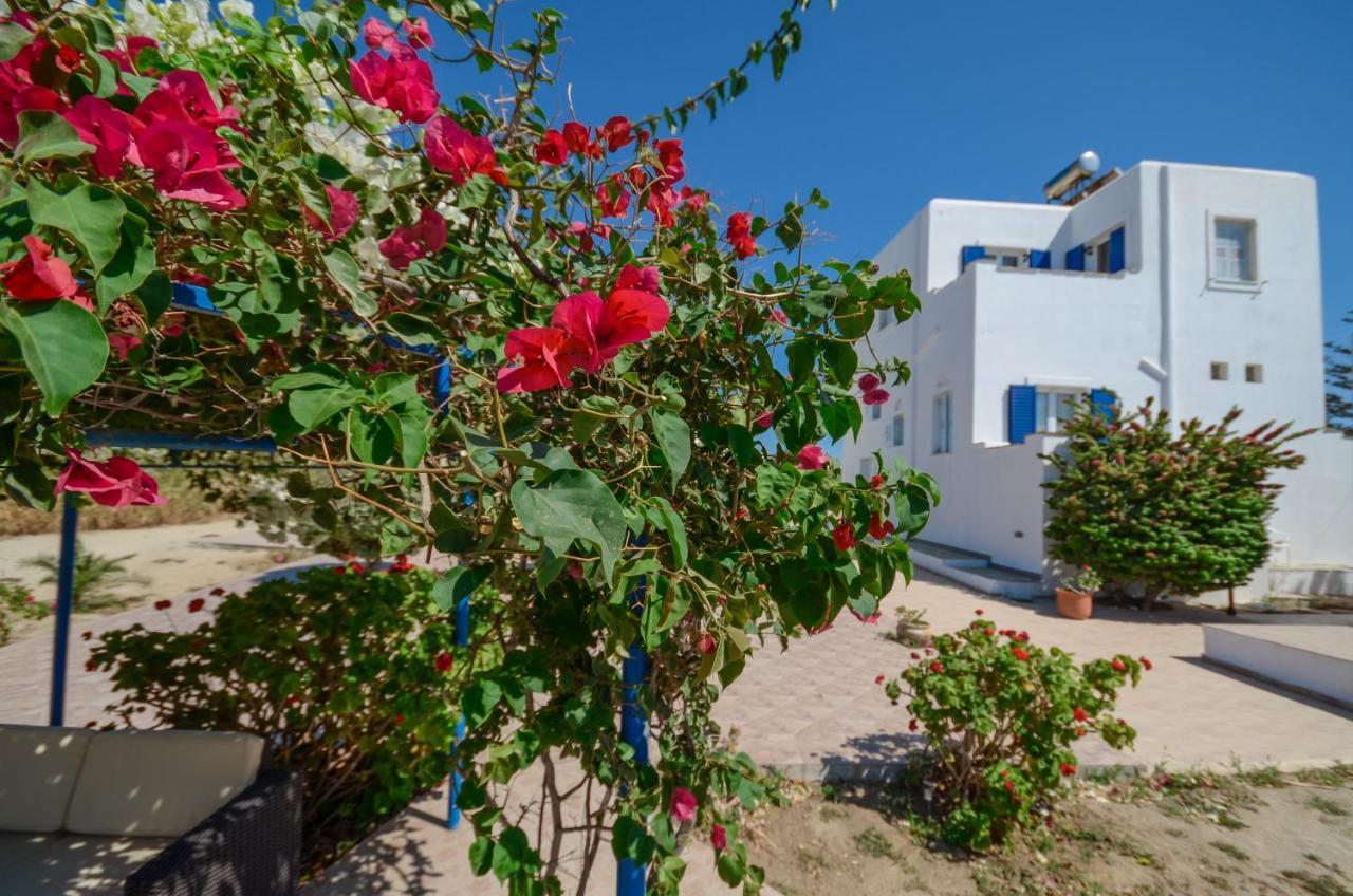 Sophi'S L Studios & Apartments Agia Anna  Exterior photo